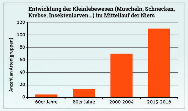 Biotop Niersgebiet. AVG Bodenbewegung im Niersgebiet. Masterplan Niersgebiet, Niersverband.