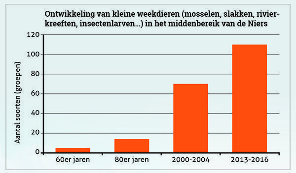 AVG Grondverzet in Niersgebied, AVG Bodenbewegung im Niersgebiet. Masterplan Niers.