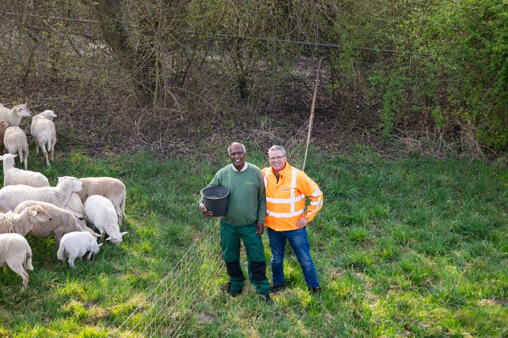 AVG-ecologisch-groenonderhoud-dieren-hulp-groenstroken